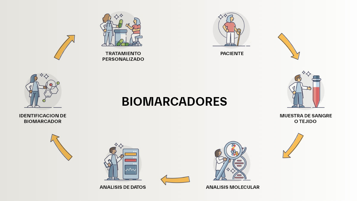 Pasos del uso de biomarcadores para establecer una atención personalizada al paciente