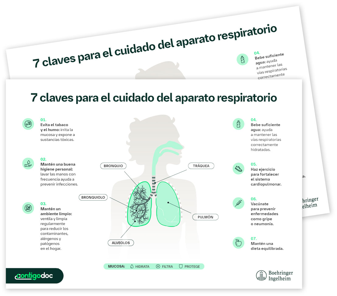 Pulsa aquí para descargar la infografía